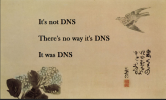 dns1.PNG