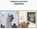 kingkong.jpeg