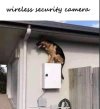 lol wireless security.jpg