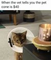 cone.jpg