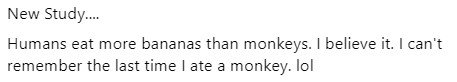 monkey.jpg