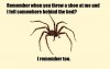 1_Spider_Meme-s1029x657-110382-580.jpg